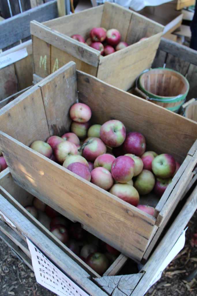 Macintosh Apples in box